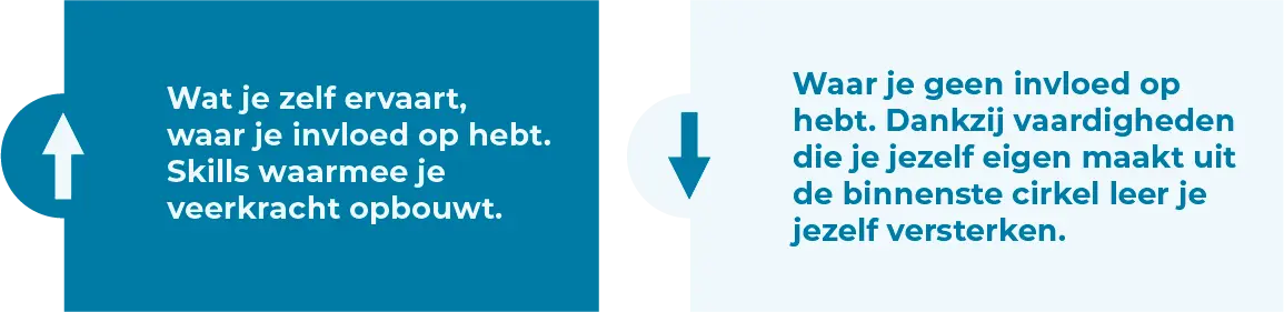Legende van het overzicht. Aan de linkerkant, een pijl naar boven met deze tekst: Wat je zelf ervaart, waar je invloed op hebt. Skills waarmee je veerkracht opbouwt. Aan de rechterkant, met een pijl naar beneden: Waar je geen invloed op hebt. Dankzij vaardigheden die je jezelf eigen maakt uit de binnenste cirkel leer je jezelf versterken.